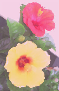 高塚省吾 裸婦 | 絵画など美術品の販売と買取 | 東京・銀座 おいだ美術