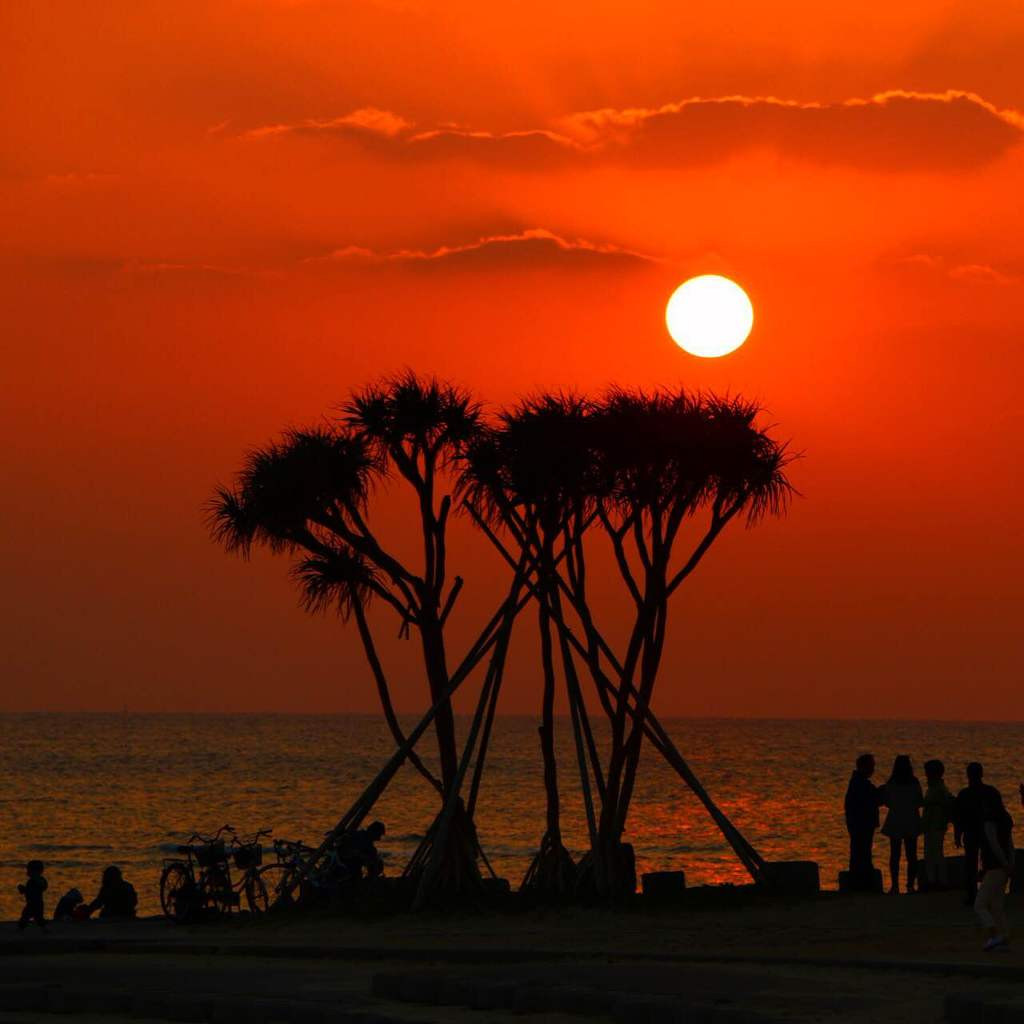 北谷公園サンセットビーチ | 沖縄観光情報WEBサイト おきなわ物語