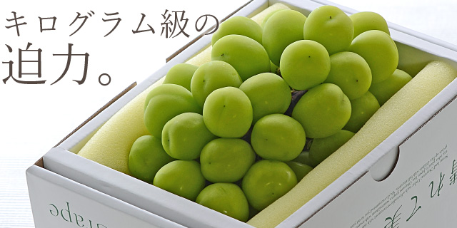 岡山県産 シャインマスカットの産地直送通販｜岡山フルーツ直送便