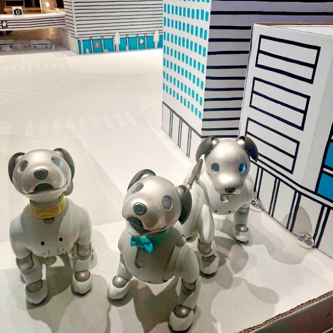 SONYの自律型エンタテインメントロボット「aibo」がすごい