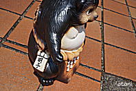 信楽焼大相撲横綱狸縁起置物陶器の販売