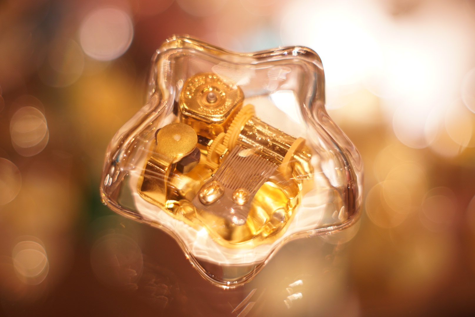 今日は何の日？こどもから大人まで世界的に人気のあるジャンルの