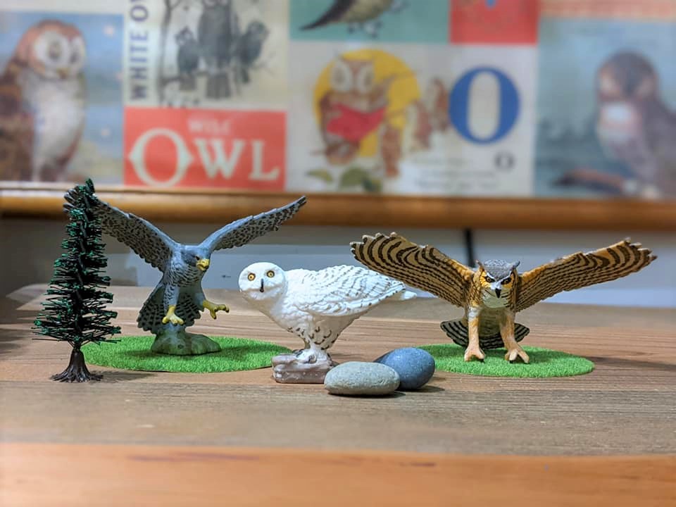 福ぶくろぅ2021☆オンライン福袋【猛禽フィギュア3点セット】 | 広島