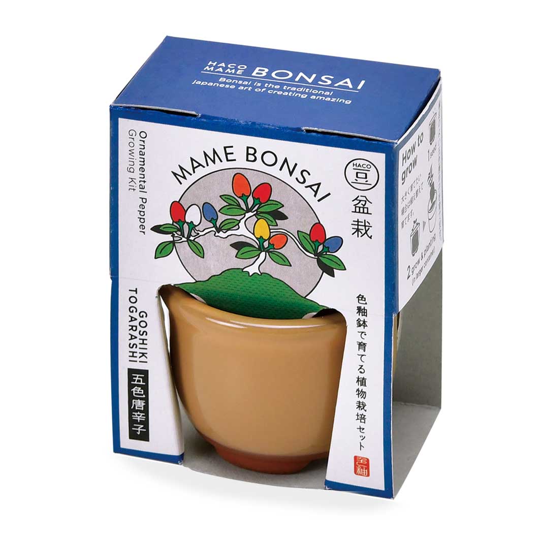 楽天市場】プランター セットの通販