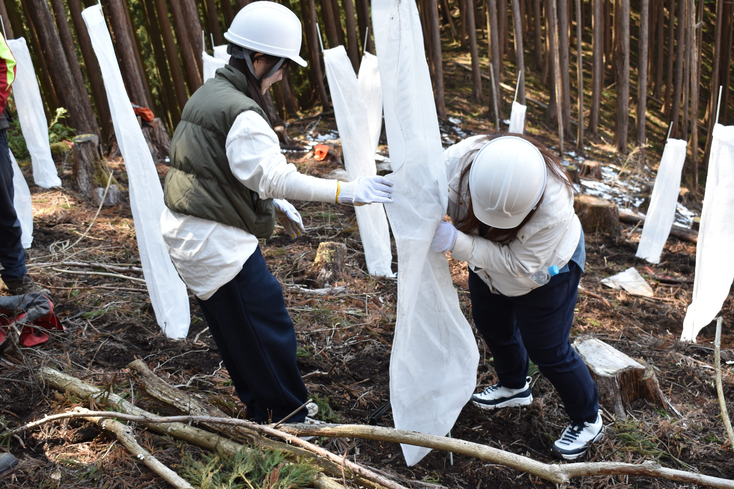 アカシデ120本の植樹と鹿沼組子体験。栃木県鹿沼市で上野硝子工業様の