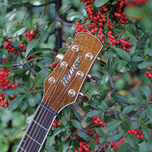 TR-601 | 生産完了品 | MORRIS GUITARS モーリスギター