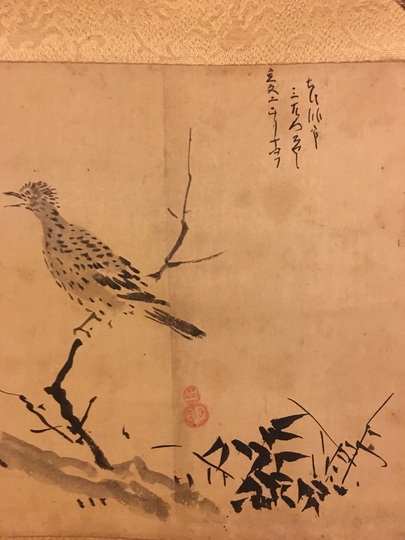 狩野探幽 縮図 梅鵯｜古美術・掛け軸の販売・買取・鑑定-松本松栄堂