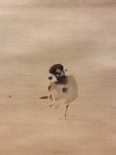 竹内鳴鳳雀掛け軸合わせ箱竹内栖鳳の息子書画、骨董品、美術品