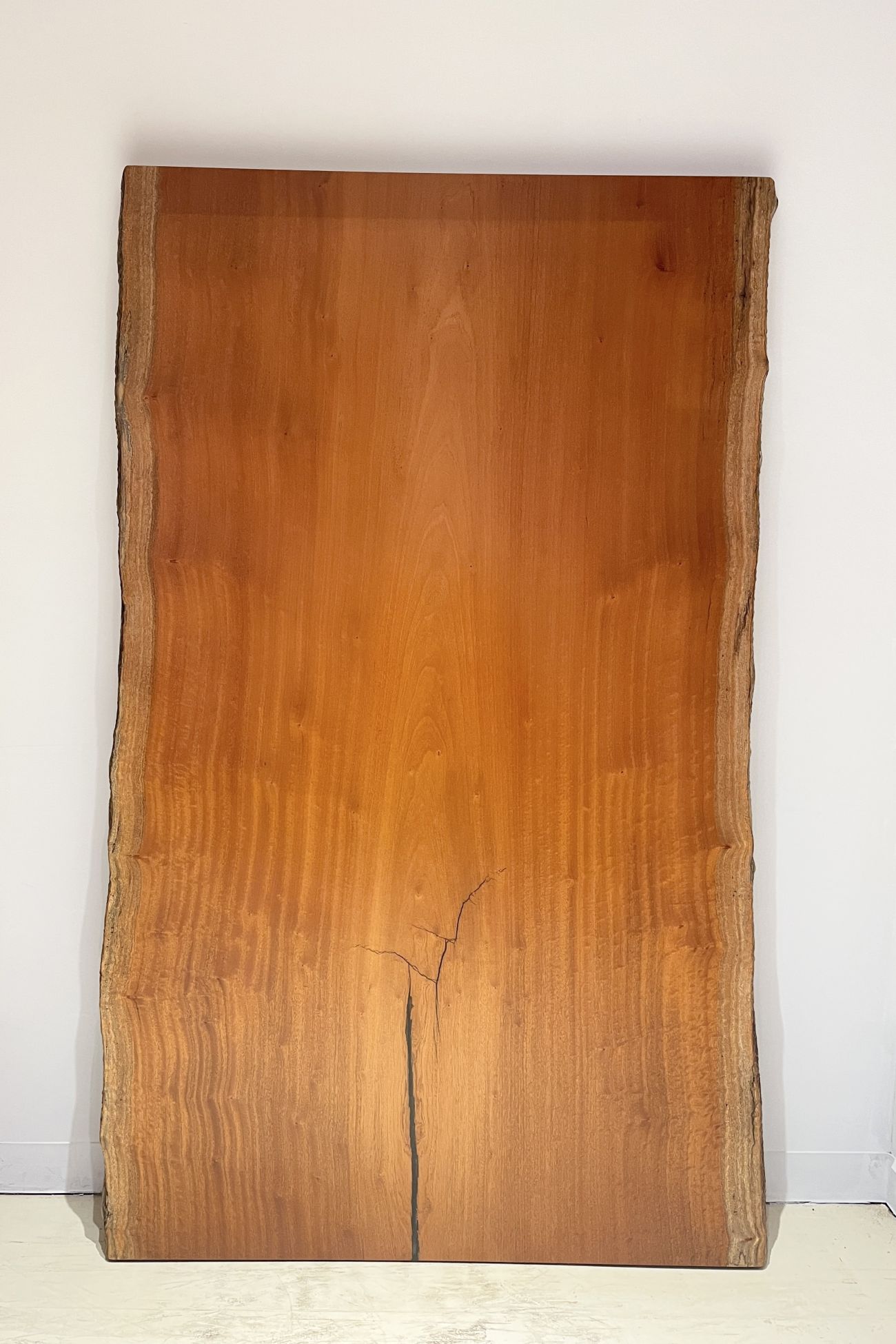 天然木 東京 新宿 東五軒町店展示 欅（けやき・ケヤキ）材 一枚板