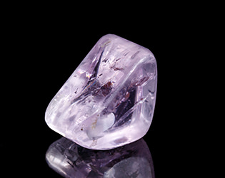kunzite2019_thum.jpg