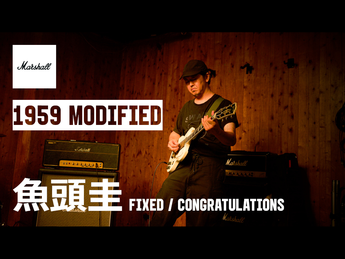 Rf-1 Reflector | Pedals | 製品情報 | Marshall Amps（マーシャルアンプ）