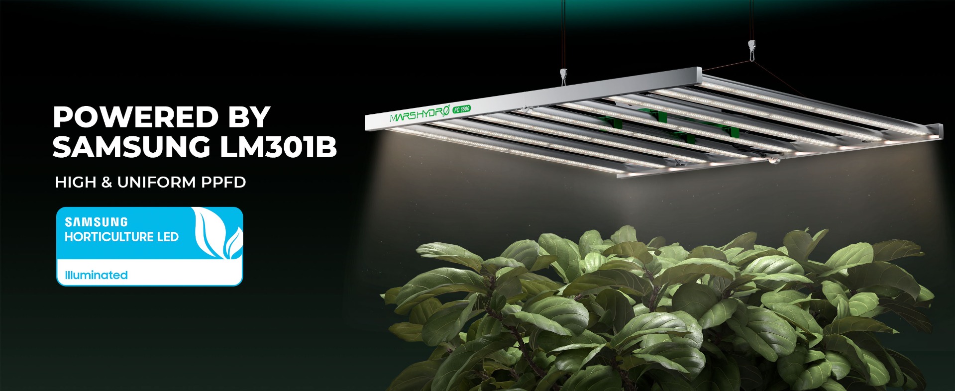 植物育成LEDライト専門店 LED企画 | LED企画