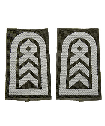 ドイツ BW (連邦陸軍)、上級司令部付き准尉・肩章/実物・未使用