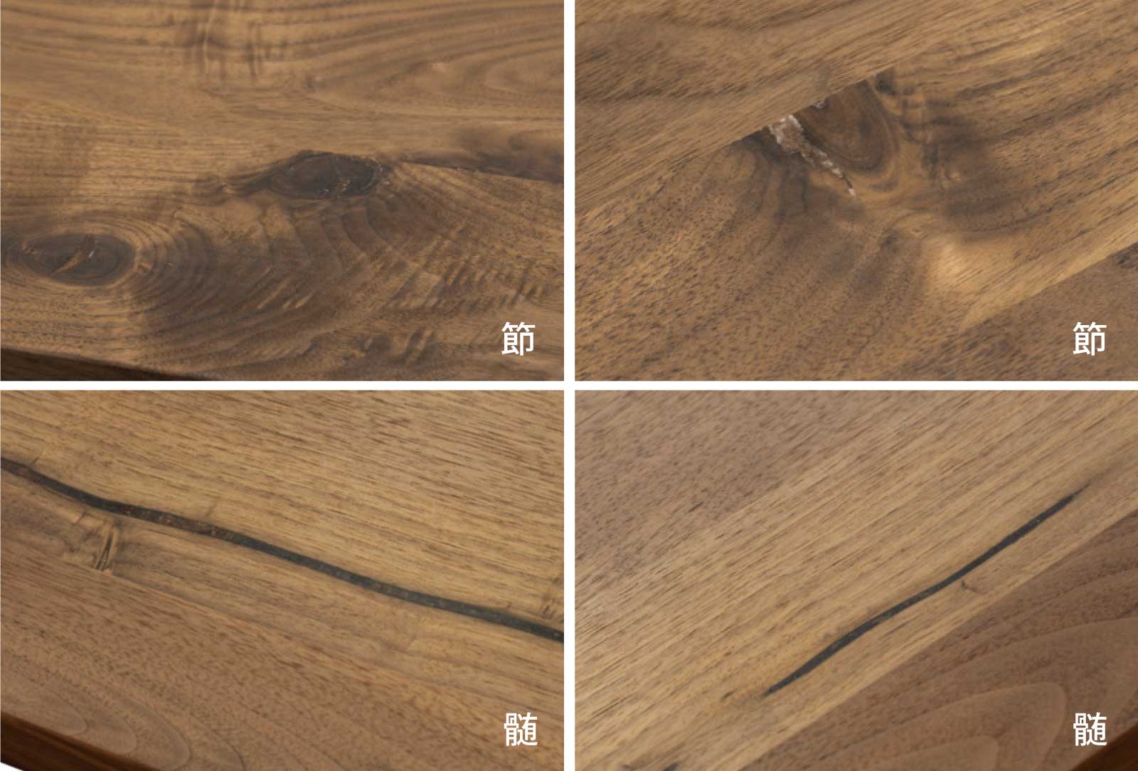 About us_Material / マスターウォール