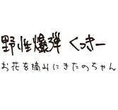 MEDICOM TOY - お花を摘みにきたのちゃん