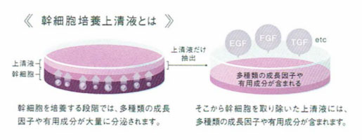 マッコイMcCELLRIE| マクセリー マスク