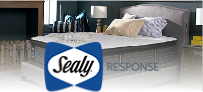 チタンコレクション ラグラスII - 宮田家具総本店