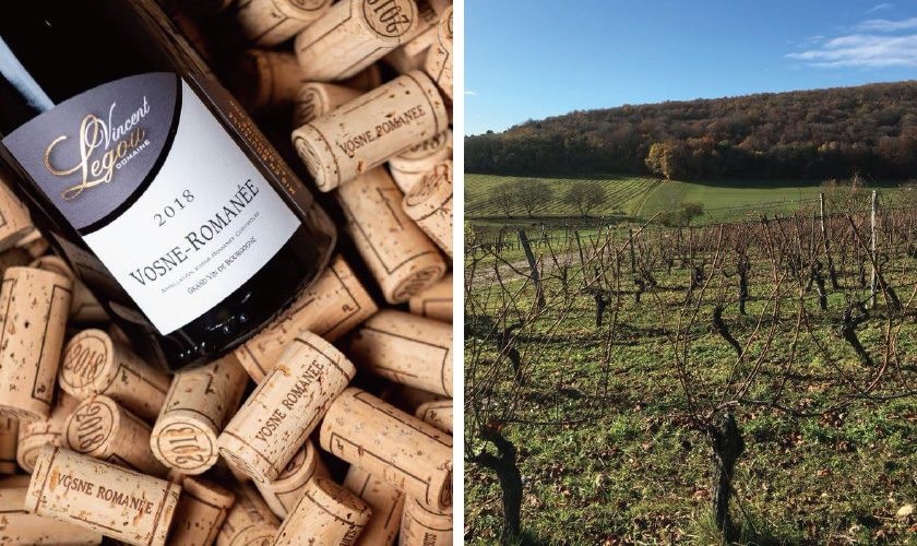 ヴァンサン ルグー レ ボー モン リュソの通信販売