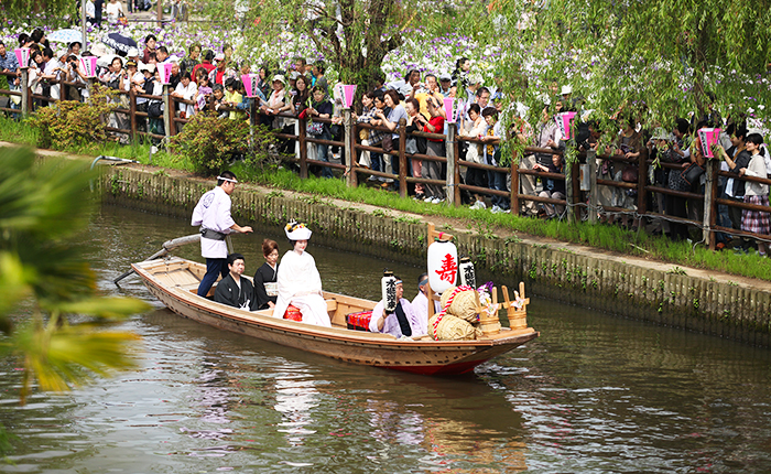 5月20日(金)水郷潮来あやめ園】水郷潮来あやめまつり開催！ | 道の駅いたこ