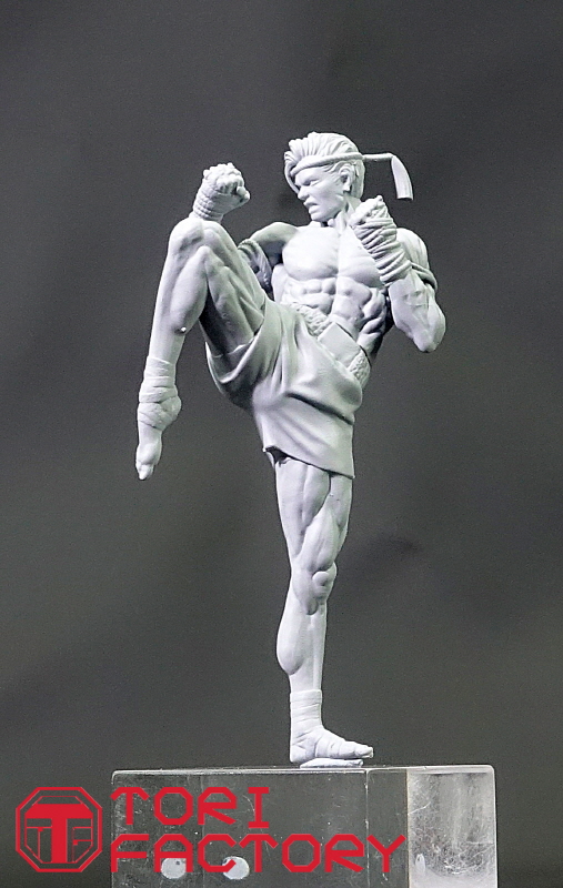 トリファクトリー[MF-41B]1/24 格闘技 タイ ムエタイ 膝蹴りの型 - M.S