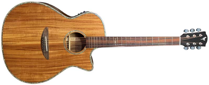 Dream Comes True (DCT) DCT ACOUSTICシリーズ エレクトリック