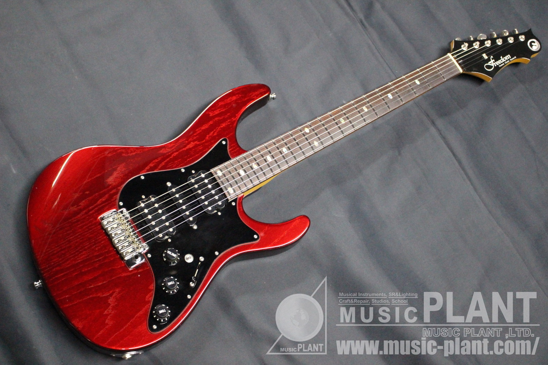 FREEDOM CUSTOM GUITAR RESEARCH エレキギターHydra Classsic 2P 24F