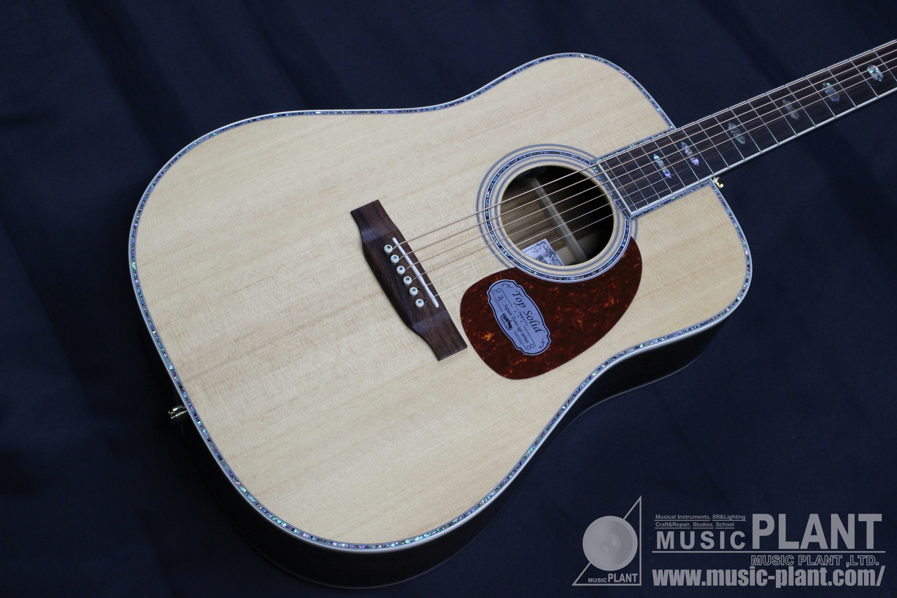 Headway Japan Tune-upシリーズ エレクトリックアコースティックギター