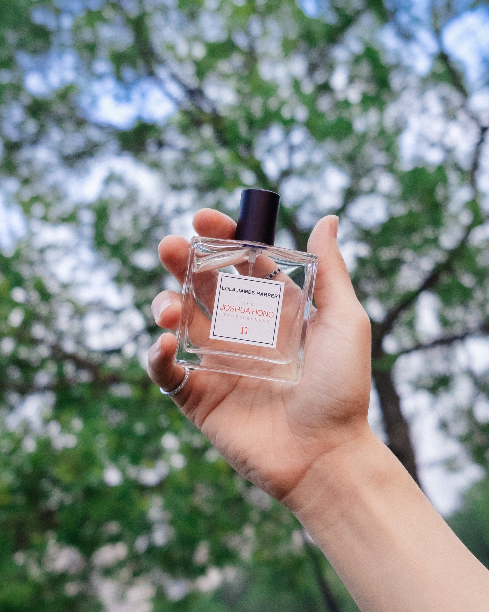 17 The Joshua Hong LIMITED EDITION - Eau de Toilette 50ml - LOLA