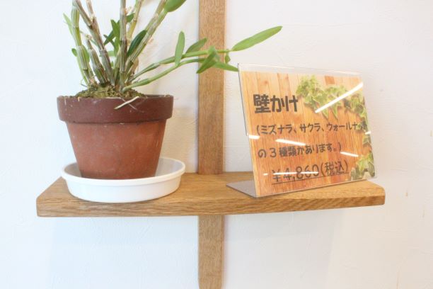 新入荷「かべかけ棚」の紹介です：新着情報 | 無垢材家具と木の家
