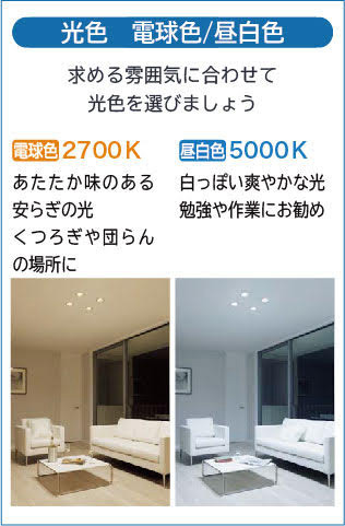 DAIKO 大光電機 ダウンライト DDL-5599YB | 商品紹介 | 照明器具の通信