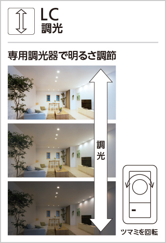 ODELIC オーデリック シャンデリア OC257049LC1 | 商品紹介 | 照明器具