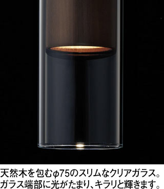 ODELIC オーデリック ペンダントライト OP252901LR | 商品紹介 | 照明