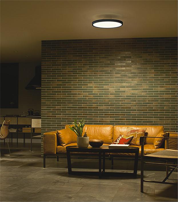 DAIKO 大光電機 調色シーリング DCL-40994 | 商品紹介 | 照明器具の