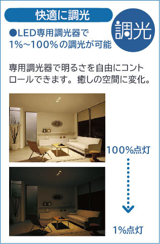 DAIKO 大光電機 小型ペンダント DPN-41770YG | 商品紹介 | 照明器具の