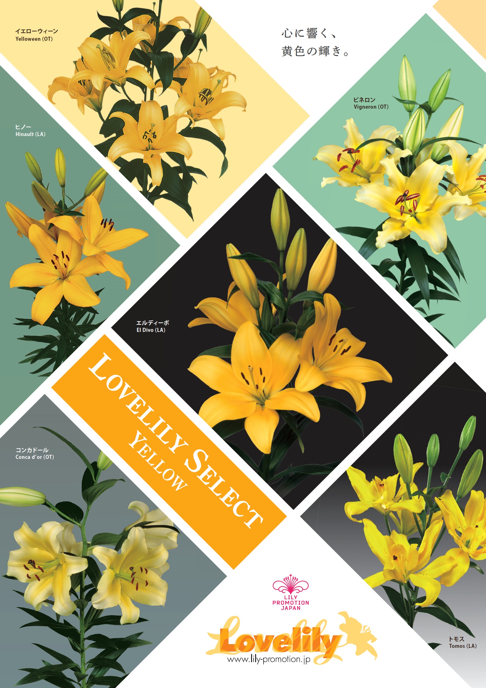 10月18日 ロブ・アンダーソン 駐日オランダ王国大使館 全権公使主催