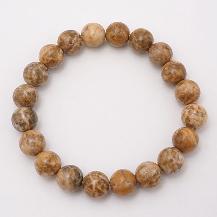 日本銘石協会 正規代理店 静岡県三ケ日 創世 水 大地 浜松 珪岩 ケイ素