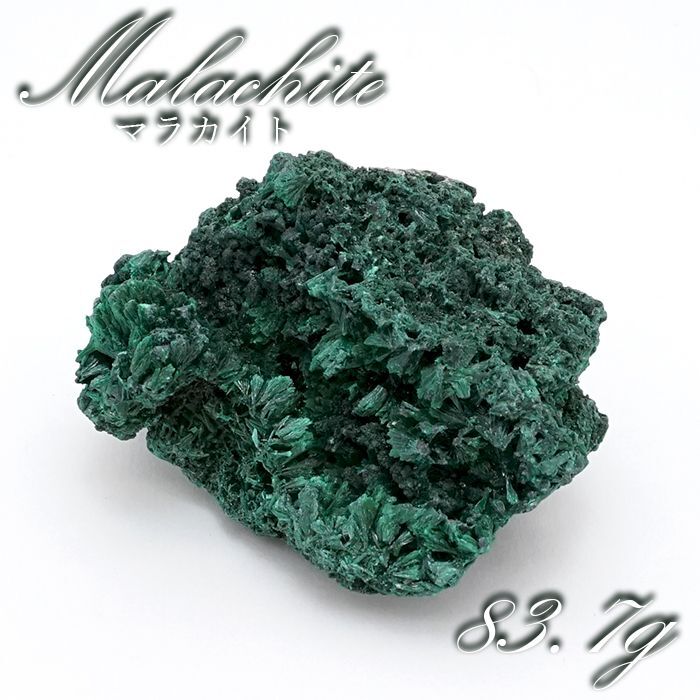 健康 洞察力 リラックス 癒し 緑色