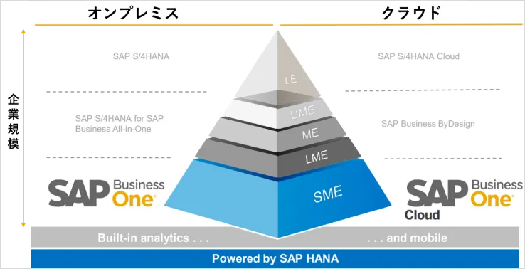 SAP｜株式会社リベルタス・アドバイザリー