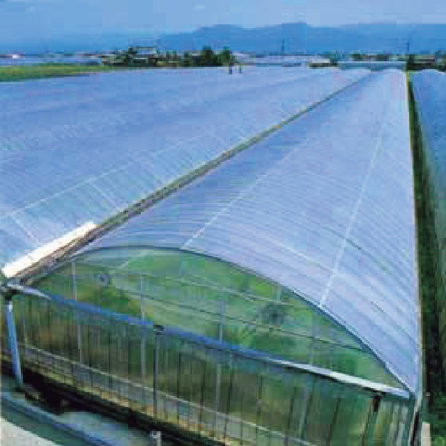 農ビエースみらい 厚さ0.1mm(幅150cmX長さ100m): 農業資材