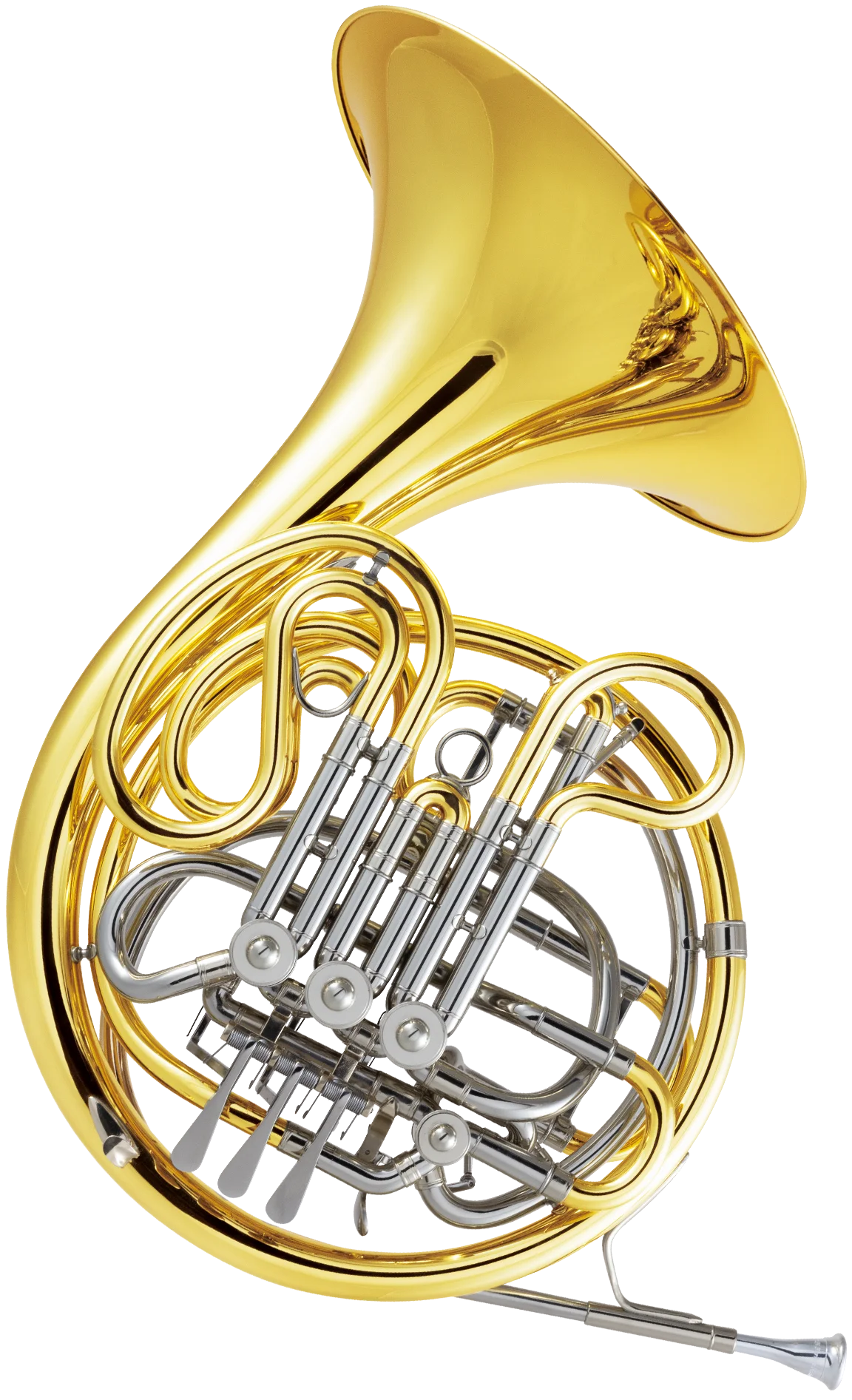 6D Artist series フレンチホルン｜CONN