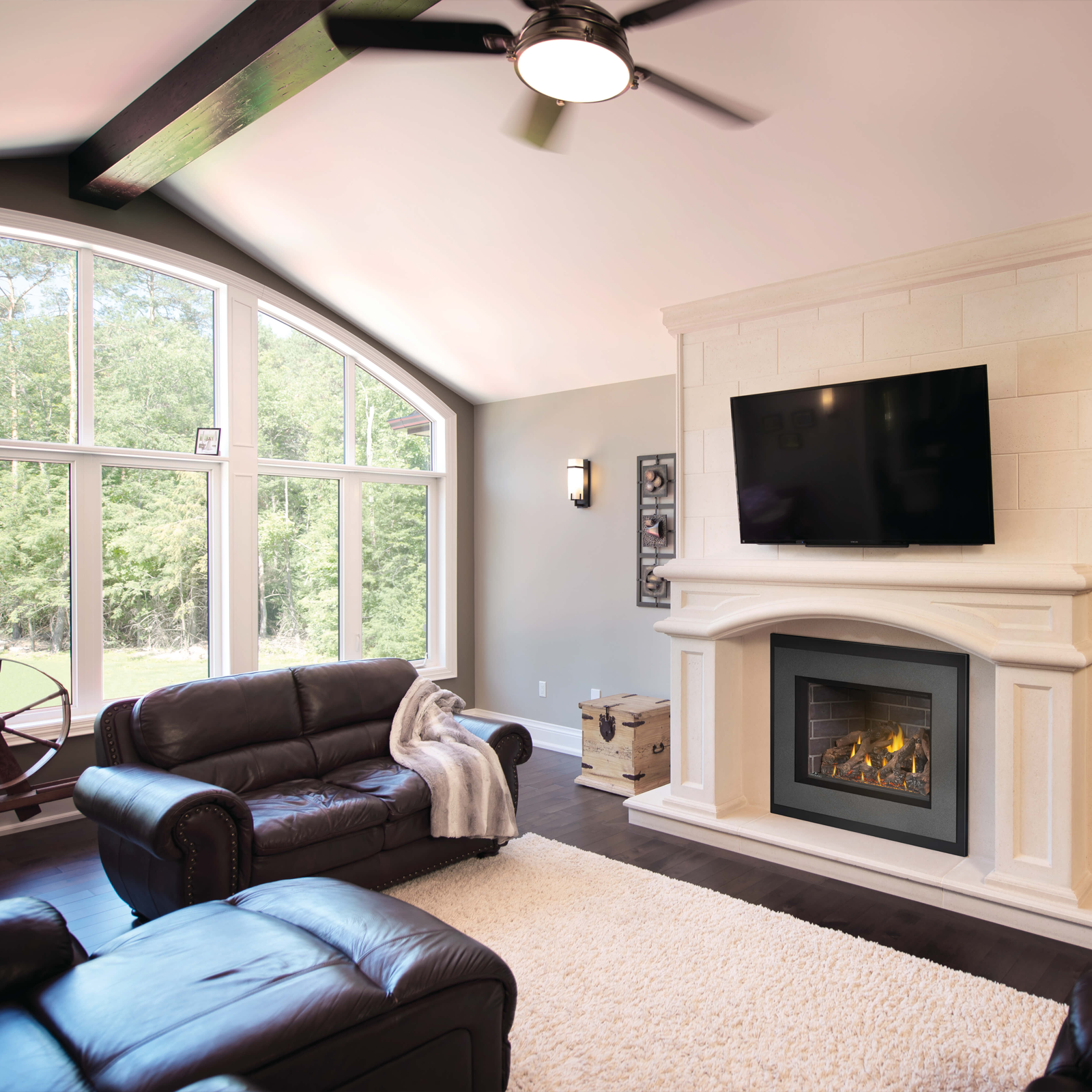 Napoleon Oakville GDIX4 Gas Insert | GDIX4N – North Country Fire