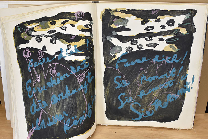 モーツァルト 魔笛 岡田露愁版画集 / 岡田露愁 | Natsume Books