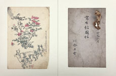 近代日本画 1/掛け軸(Hanging scrolls) 絵画の買取 販売 鑑定/長良川画廊