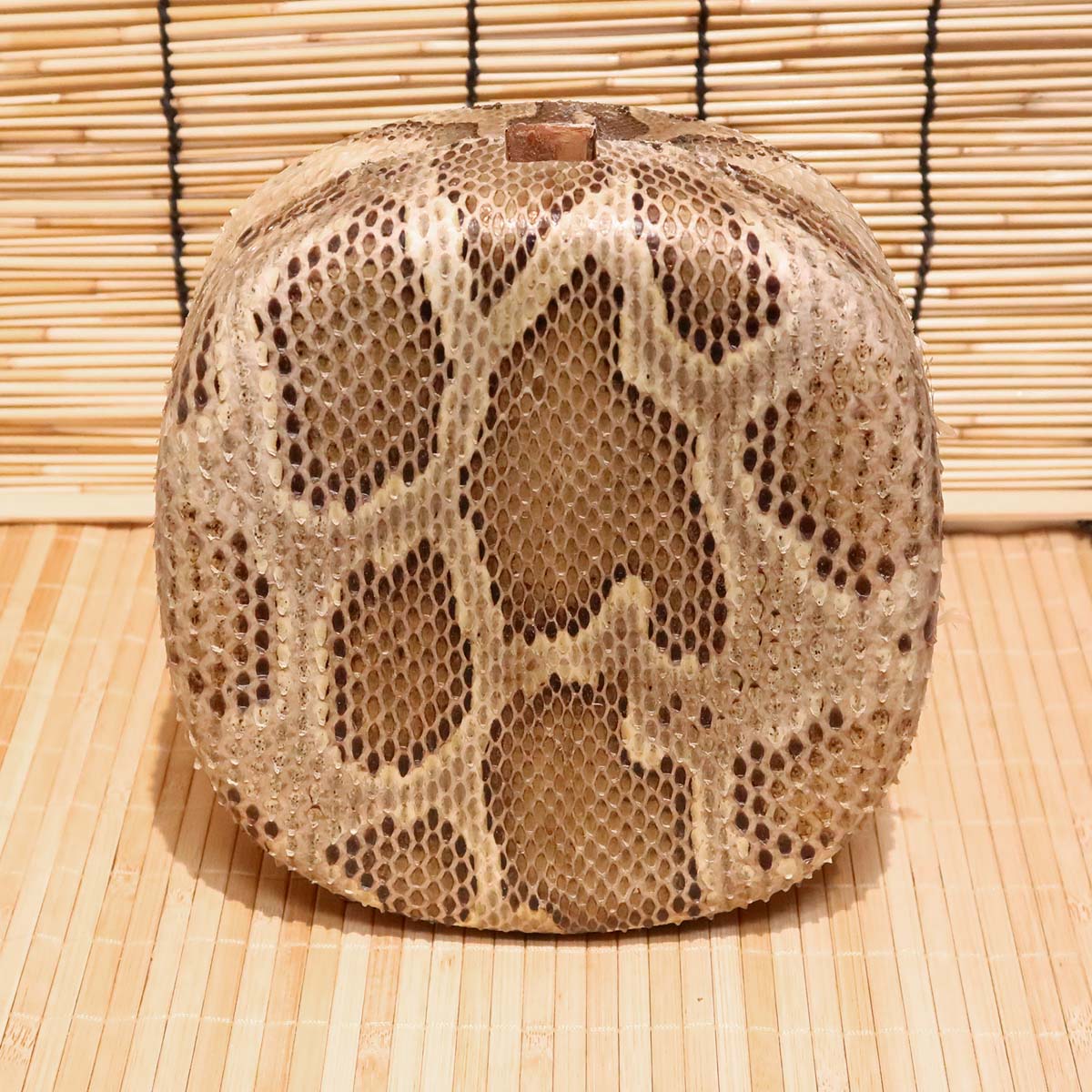 アウトレット蛇皮チーガ08（強化張り：8分張り）｜蛇皮強化張りの