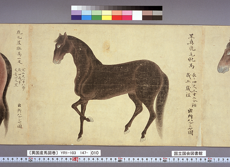 異国産馬図巻〕（標準画像 147-010） | 江戸時代の日蘭交流