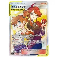 かんこうきゃく(ミラー) [タッグオールスターズ] SM12a 149/173 買取