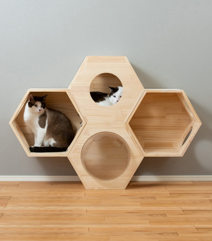 BT04-6S-P_01_1000x1000.jpg?v=