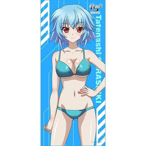 IS ＜インフィニット・ストラトス＞ 2』 マイクロファイバースポーツ