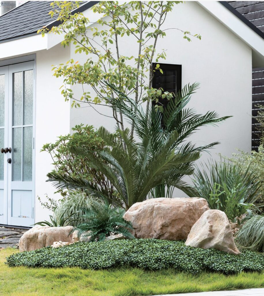 ドライガーデンの石選び【6選】DIYで魅力的な庭へ