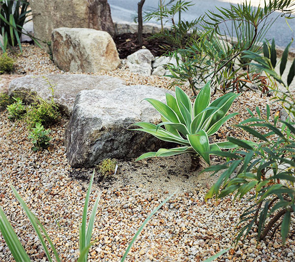 ドライガーデンのススメ | niwary | 彦根・長浜・米原・東近江・近江